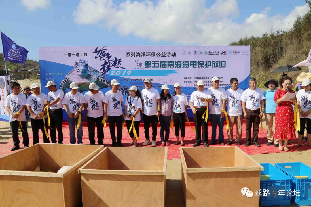 海龟封面.jpg