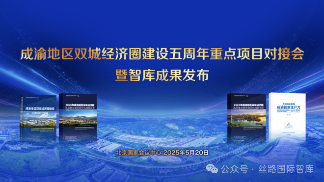2025发展报告.png